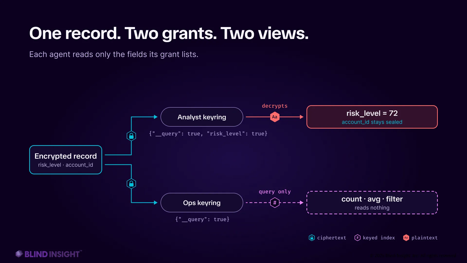 One encrypted record with risk_level and account_id fields branches to two keyrings. The analyst keyring, granted query plus risk_level, decrypts risk_level equals 72 while account_id stays sealed. The ops keyring, granted query only, can count, average and filter but reads nothing.